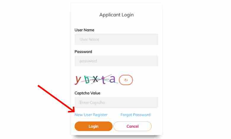 Mukhyamantri Work From Home Yojana Online Apply